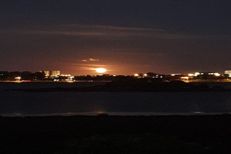 Photo of property in 163b Kingswood Road, Brookfield, Tauranga, 3110