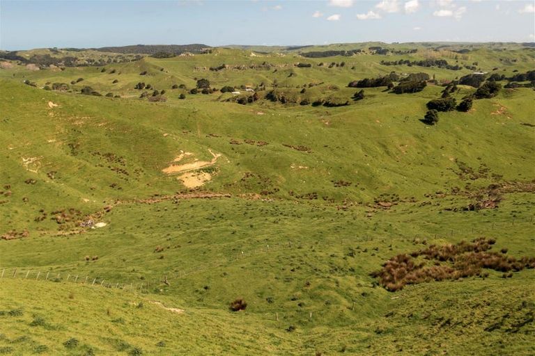 Photo of property in 899 Te Akau Road, Te Akau, Ngaruawahia, 3793