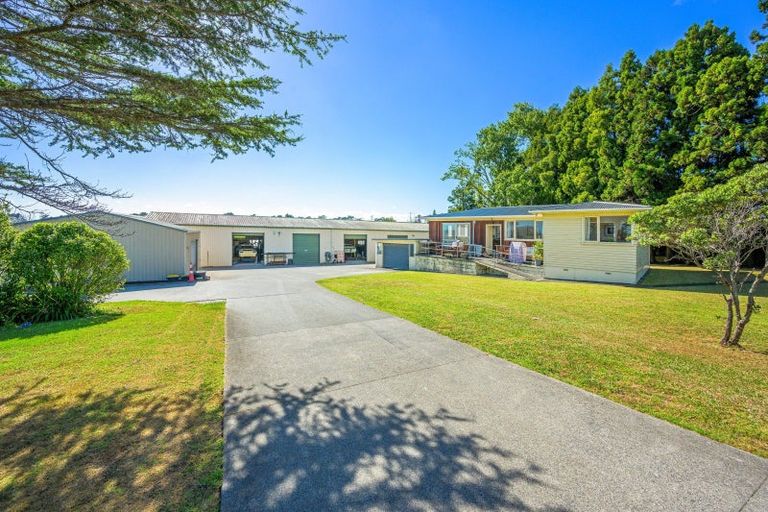 Photo of property in 159 Fred Taylor Drive, Whenuapai, Auckland, 0814