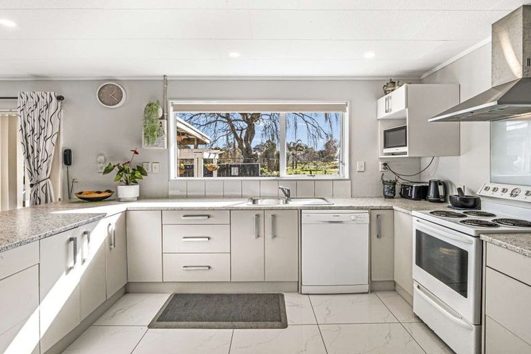 Photo of property in 15 Downes Avenue, Springvale, Whanganui, 4501