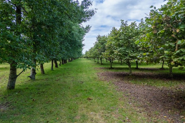 Photo of property in 120 Summerleaze Road, Pareora West, Timaru, 7971