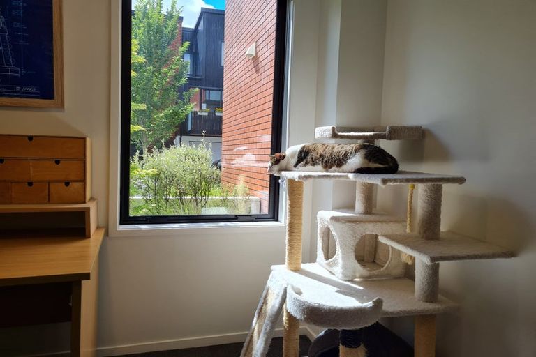 Photo of property in 9/216 Tristram Street, Hamilton Central, Hamilton, 3204