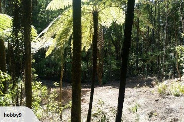 Photo of property in 19 Hobson Road, Lucas Heights, Auckland, 0632