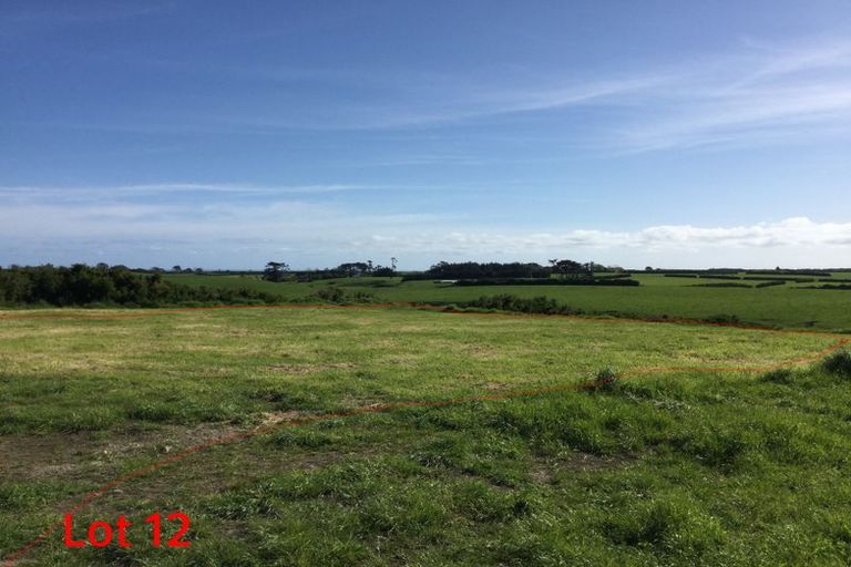 Photo of property in 6 Larlin Heights, Hawera, 4675