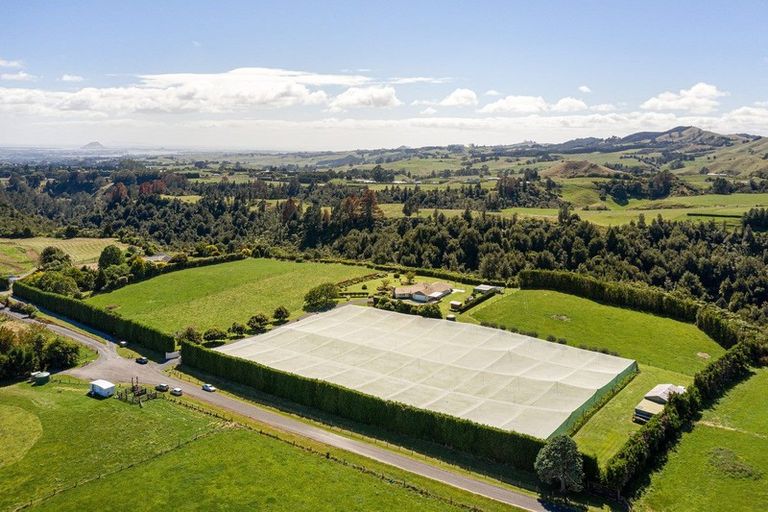 Photo of property in 456 Glue Pot Road, Oropi, Tauranga, 3173