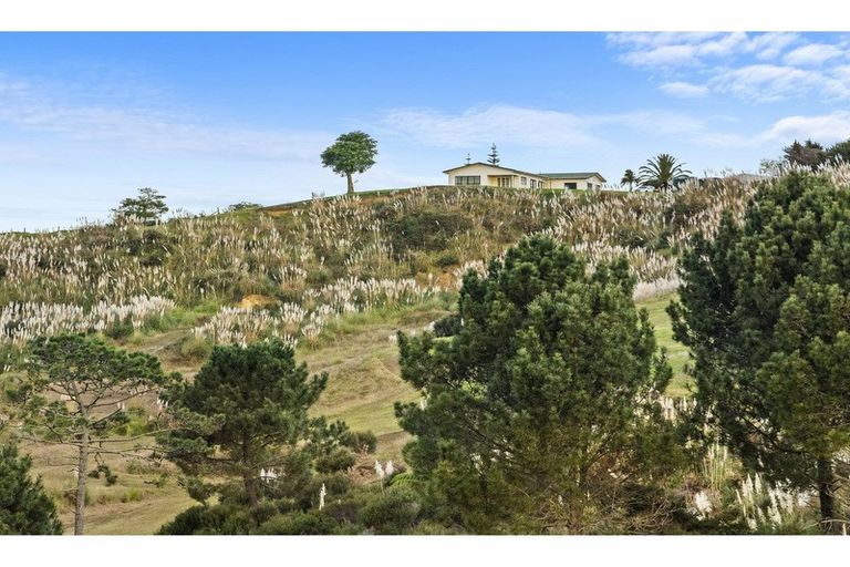 Photo of property in 16 Tearoe Road, Manukau Heads, Waiuku, 2684