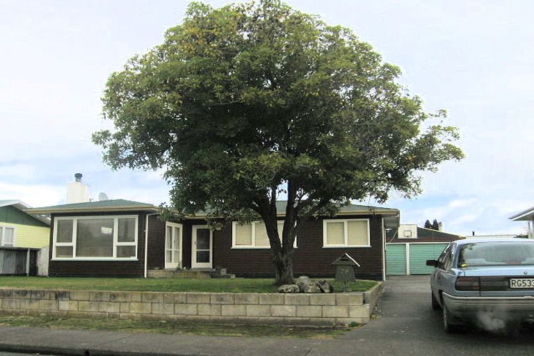 Photo of property in 79 Dover Road, Flaxmere, Hastings, 4120