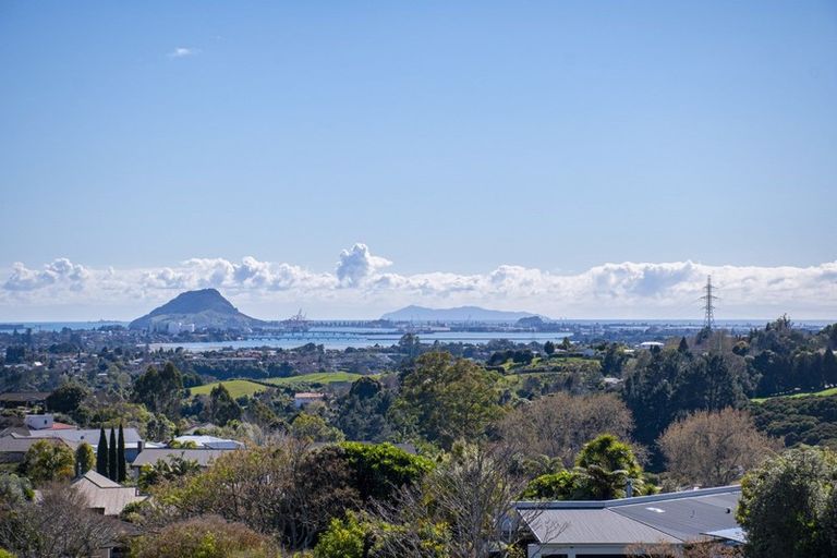 Photo of property in 42 Pinkerton Place, Ohauiti, Tauranga, 3112