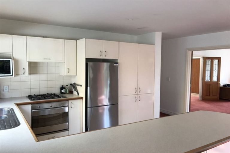 Photo of property in 161 Hamilton Avenue, Ilam, Christchurch, 8041