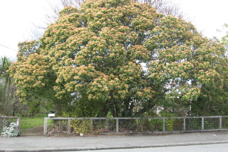 Photo of property in 95 Colombo Road, Masterton, 5810