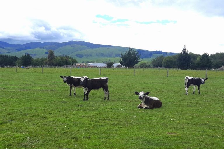 Photo of property in 989 Spur Road, Ashhurst, 4884