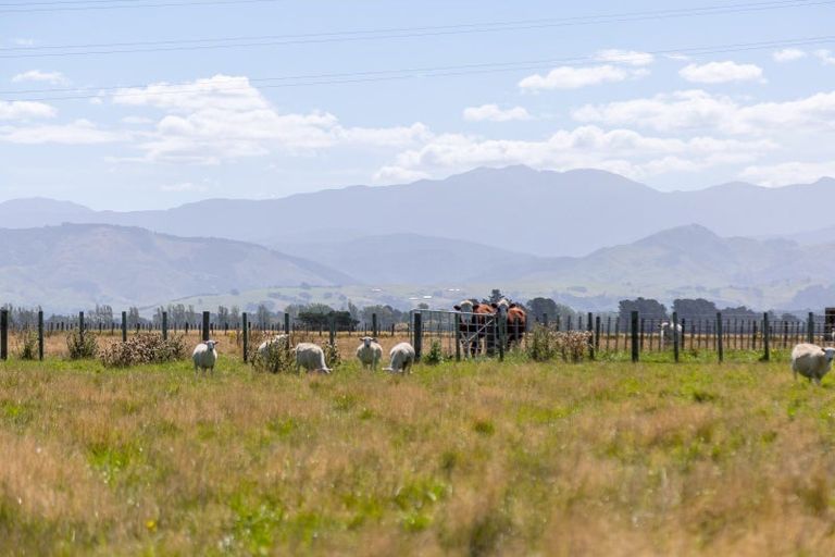 Photo of property in 445 Perrys Road, East Taratahi, Carterton, 5887