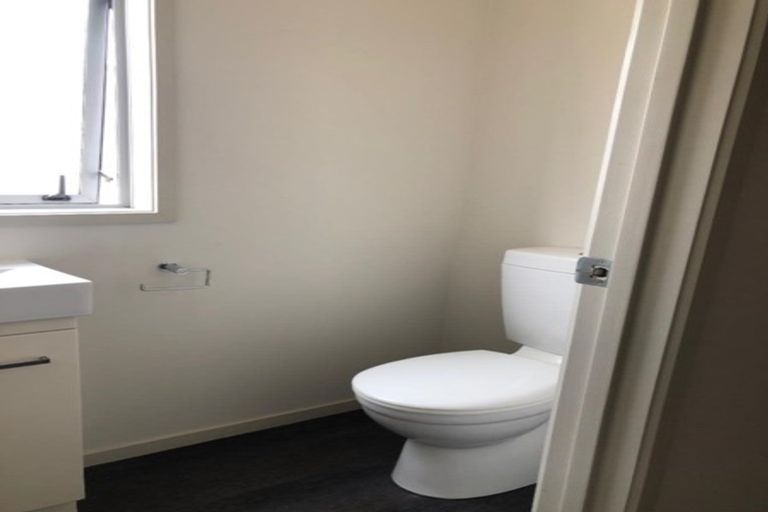 Photo of property in 27b Greensboro Street, Hamilton East, Hamilton, 3216