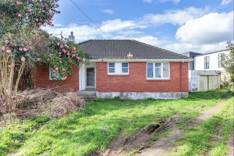 Photo of property in 17 Mahoe Street, Levin, 5510