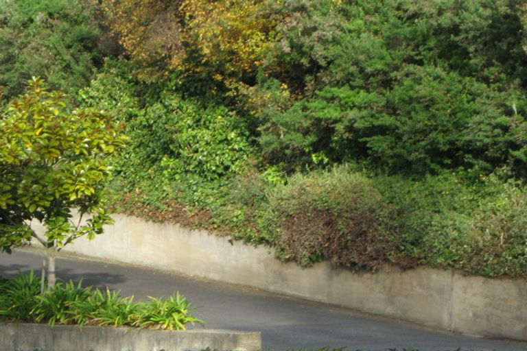 Photo of property in 367a Stuart Street, Roslyn, Dunedin, 9010