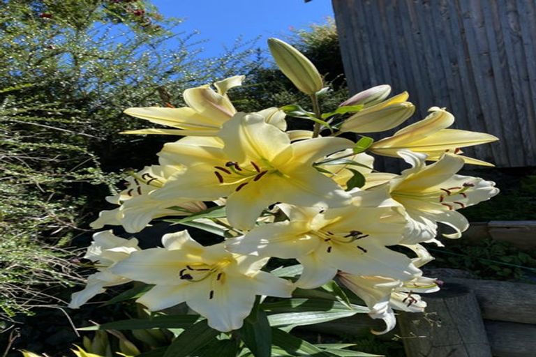 Photo of property in 6a Hart Street, Belleknowes, Dunedin, 9011