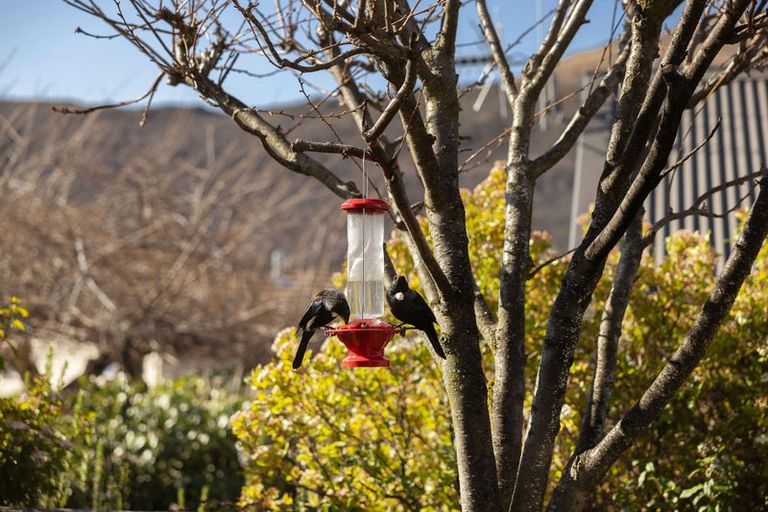 Photo of property in 84 Cotter Avenue, Arrowtown, 9302