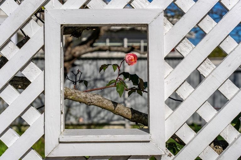 Photo of property in 1 Hadfield Street, Otaki, 5512