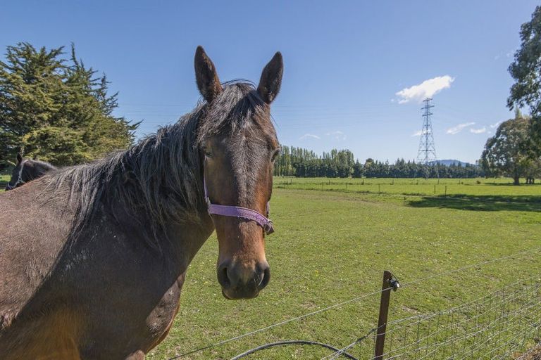 Photo of property in 551 Lower Sefton Road, Sefton, Rangiora, 7477