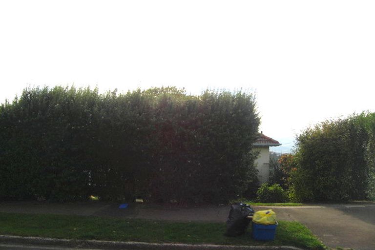 Photo of property in 50 Caldwell Street, Brockville, Dunedin, 9011