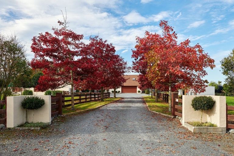 Photo of property in 304 Inland Kaikoura Road, Inland Road, Kaikoura, 7373