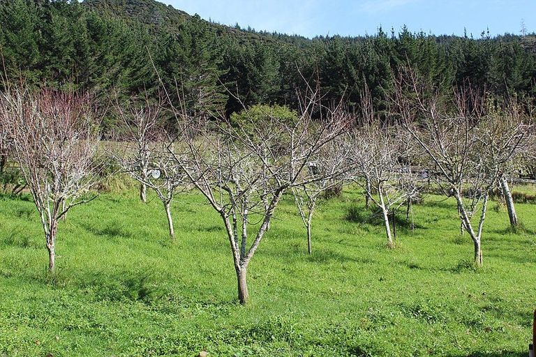 Photo of property in 632a Sawyer Road, Mangonui, 0494