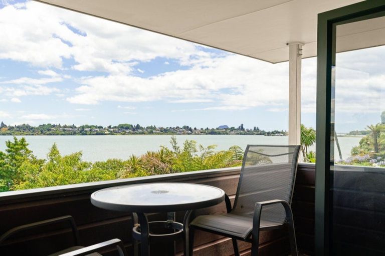 Photo of property in 117 Haukore Street, Hairini, Tauranga, 3112