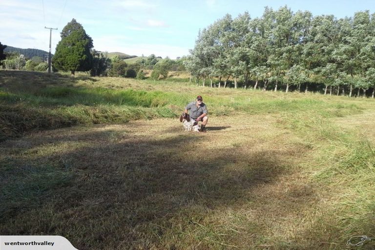 Photo of property in 393 Wentworth Valley Road, Whangamata, 3691