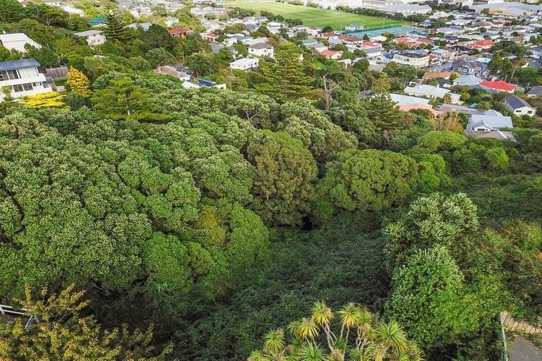 Photo of property in 75 Camperdown Road, Miramar, Wellington, 6022