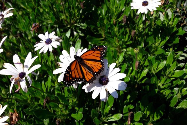 Photo of property in 38 Esk Street, Parkvale, Tauranga, 3112