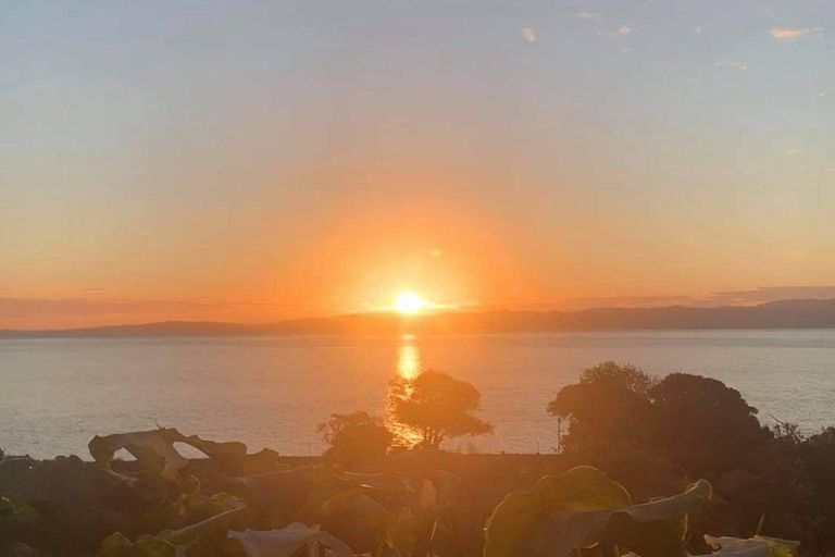 Photo of property in 16b Springfield Avenue, Ngarimu Bay, Thames, 3575