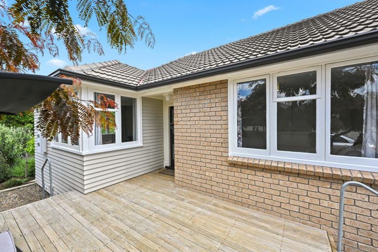 Photo of property in 124 Clarkin Road, Fairfield, Hamilton, 3214
