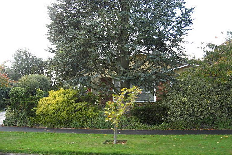 Photo of property in 22 Gothic Place, Ilam, Christchurch, 8041