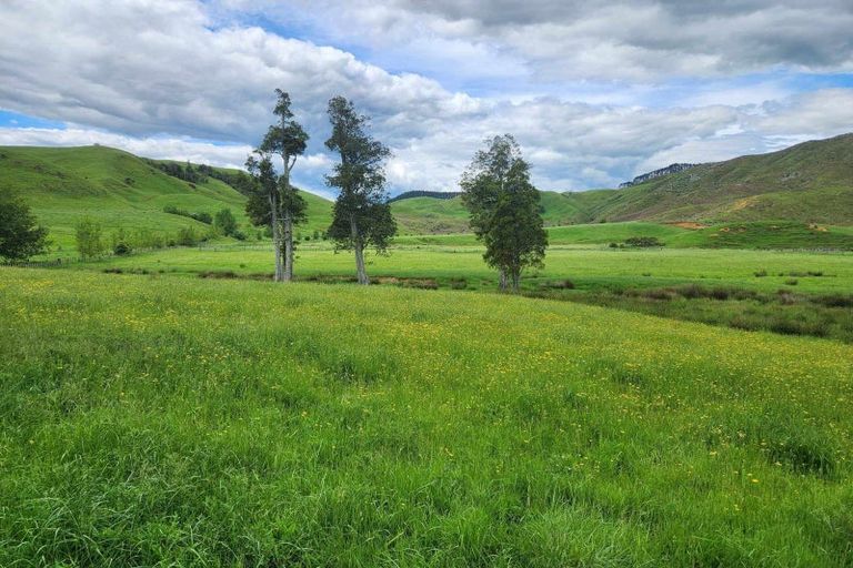 Photo of property in 201 Pond Road, Raglan, 3295