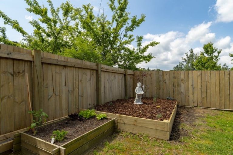 Photo of property in 47 Snowden Street, Ohauiti, Tauranga, 3112