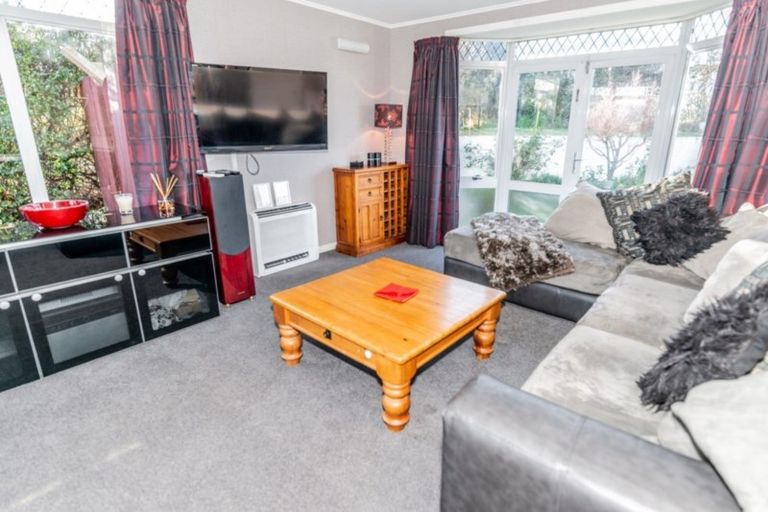 Photo of property in 111 Tarbert Street, Alexandra, 9320