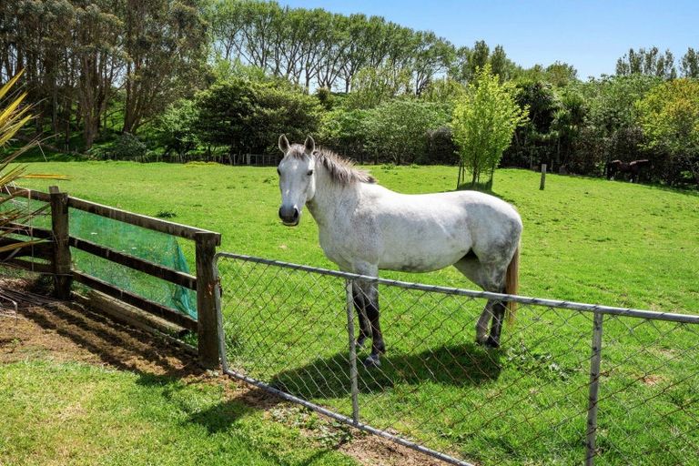 Photo of property in 15 Midland Lane, Aongatete, Katikati, 3181