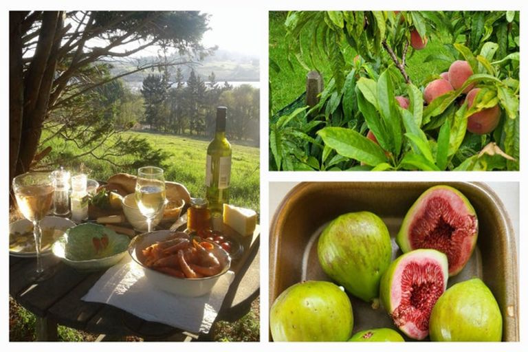 Photo of property in 208 Petley Road, Paparoa, 0571