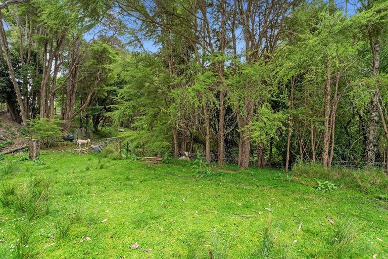 Photo of property in 51 Selbourne Avenue, Richmond, 7020