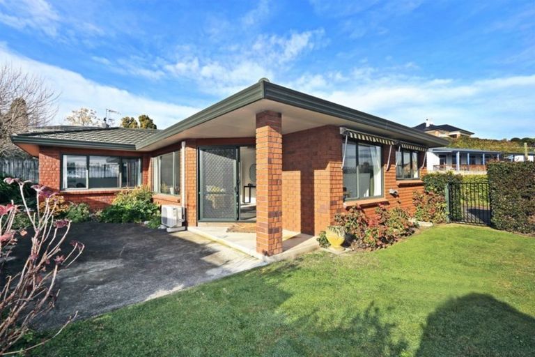 Photo of property in 14 Campbell Street, Havelock North, 4130