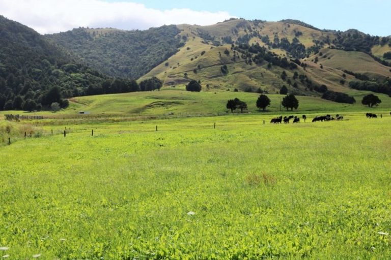 Photo of property in 1008 Tangowahine Valley Road, Tangowahine, Dargaville, 0372