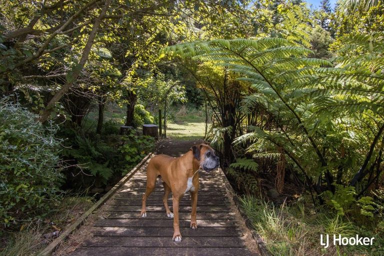 Photo of property in 325c Rea Road, Tahawai, Katikati, 3178