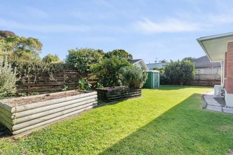 Photo of property in 22 Woods Avenue, Matua, Tauranga, 3110