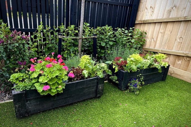 Photo of property in 1/80 Milton Street, Somerfield, Christchurch, 8024