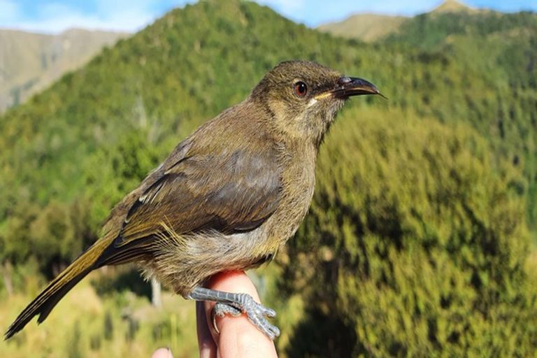 Photo of property in 439 Engelbrechts Road, Hunter, Waimate, 7978