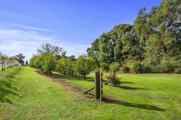 Photo of property in 583 State Highway 16, Kumeu, 0891