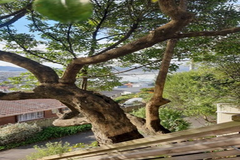 Photo of property in 85 Cliffs Road, Saint Clair, Dunedin, 9012