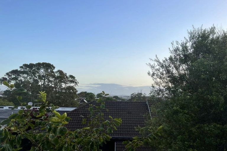 Photo of property in 16 Richards Avenue, Forrest Hill, Auckland, 0620