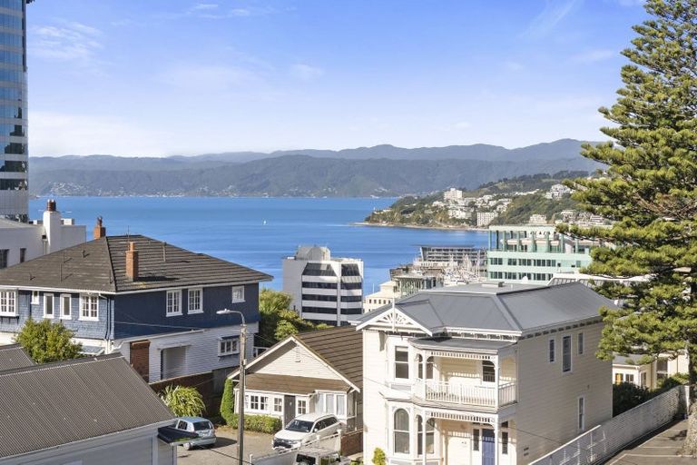 Photo of property in 9 Mount Street, Te Aro, Wellington, 6011