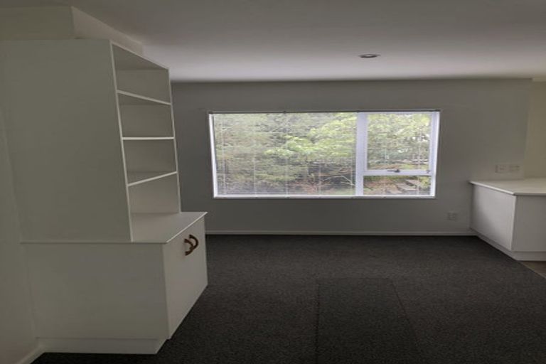 Photo of property in 145a Wallace Street, Mount Cook, Wellington, 6021